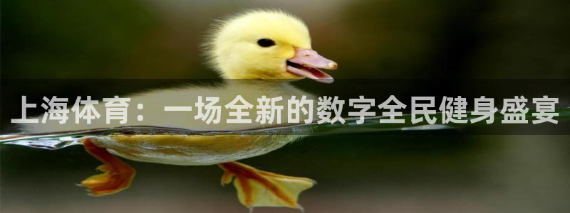 黑白直播体育直播
