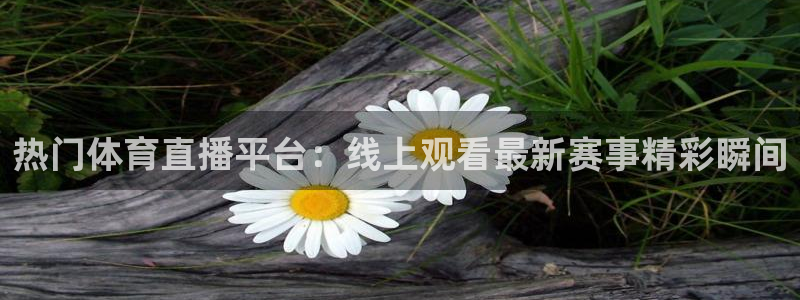 nba黑白直播免费观看直播