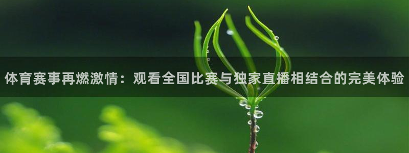 体育新闻